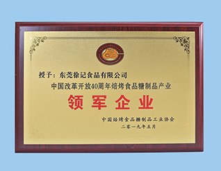 中国轻工业百强企业